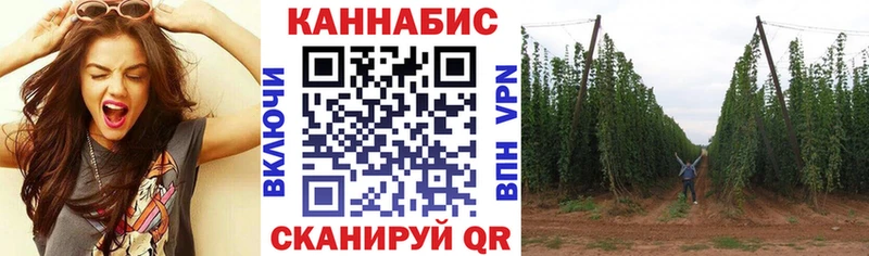 Канабис AK-47  Наволоки 